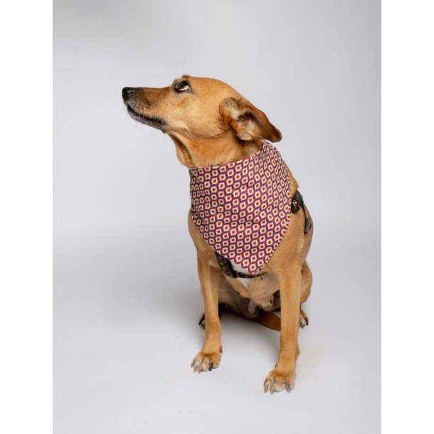 Classic Tie-On Dog Bandana Magical Flame