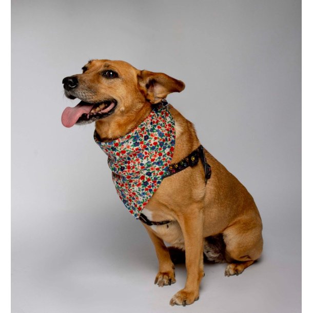 Classic Tie-On Dog Bandana Floral Print